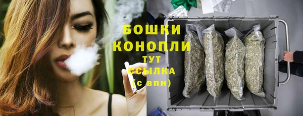мдпв Зеленодольск